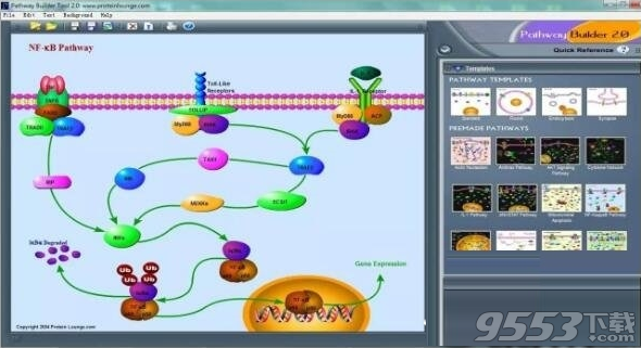 Pathway Builder Tool(信号通路作图软件) v2.0绿色版