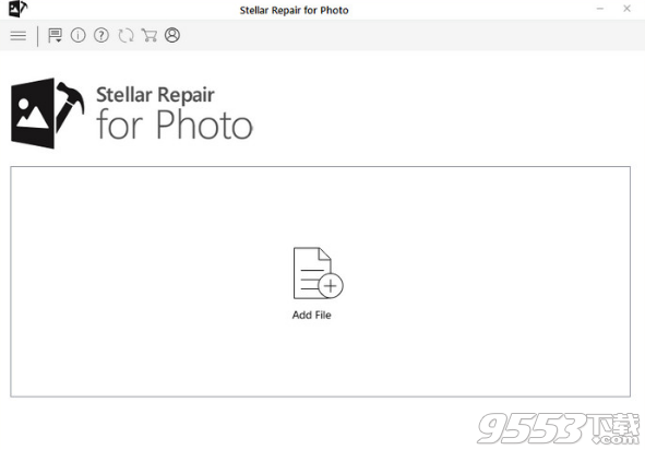 Stellar Repair for Photo破解版