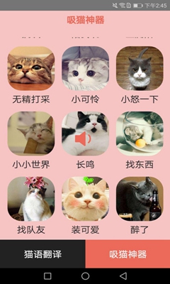 火猫密语(猫语翻译)软件截图2