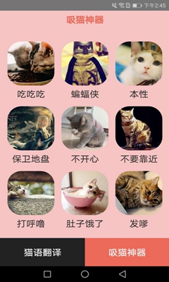 火猫密语(猫语翻译)软件截图3