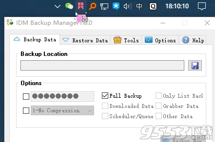 IDM Backup Manager(IDM备份管理器)