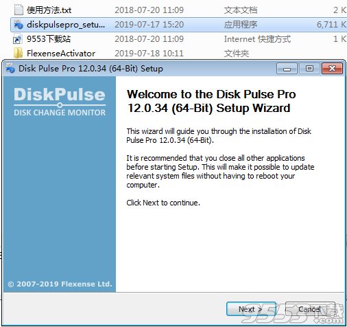 Disk Pulse Pro破解版