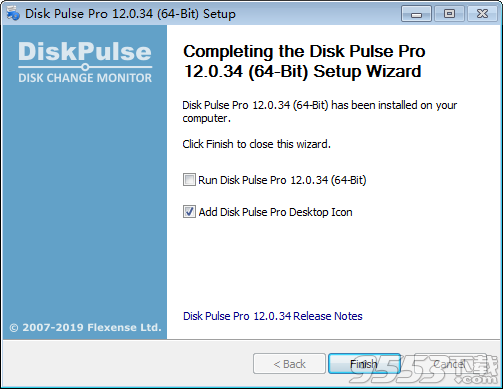 Disk Pulse Pro破解版