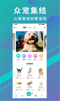 寵都手機(jī)版app