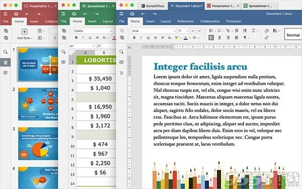 SoleOffice Mac版