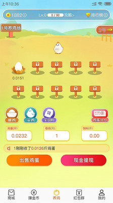 小淘鸡最新版截图2