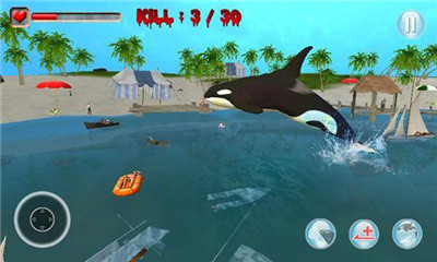 虎鲸的3D模拟器安卓版