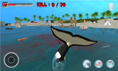 虎鲸的3D模拟器安卓版截图1