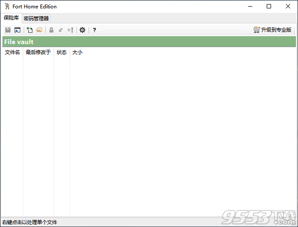Fort Professional Edition(文件加密工具) v4.1.0.0绿色版