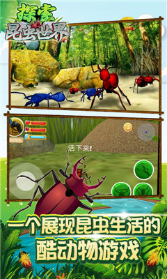 探索昆虫世界手游下载-探索昆虫世界安卓版下载v1.1图1