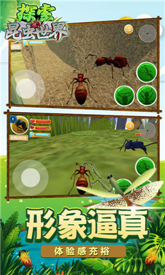 探索昆虫世界手游下载-探索昆虫世界安卓版下载v1.1图4