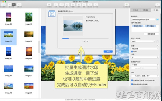 Batch Image Watermark Mac版