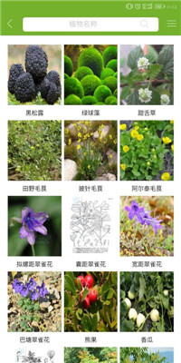 植物网安卓版截图2