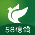 58信鴿客戶端