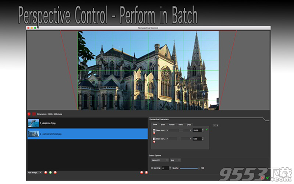 Perspective Control Mac版