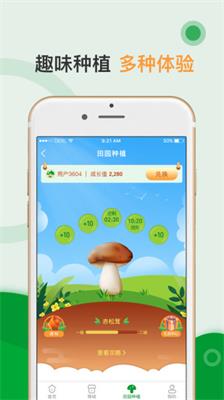蘑菇营安卓版