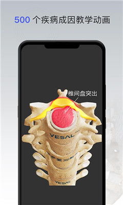 骨科专家app下载-骨科专家手机版下载v1.0.0图3