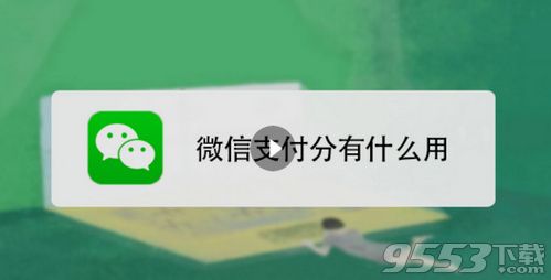 微信支付分怎么提高 微信支付分提升方法