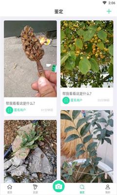 掌上植物网手机版