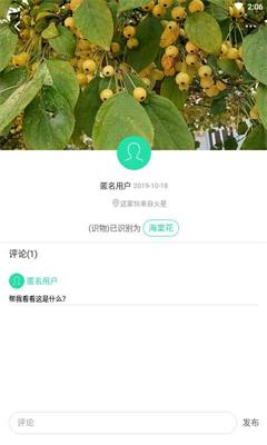 掌上植物网手机版截图4