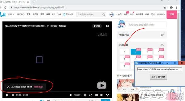 哔哩哔哩会员内容试看工具 v1.0