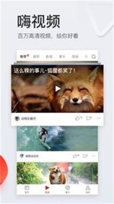 2019网易新闻最新版截图4