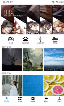 安卓壁纸精选手机版截图3