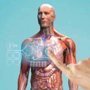 虚拟现实人体解剖手机版
