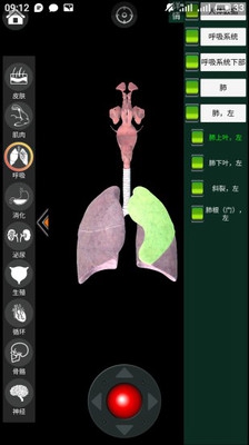 虚拟现实人体解剖手机版截图2