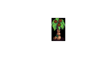星露谷物语可种植椰子树MOD