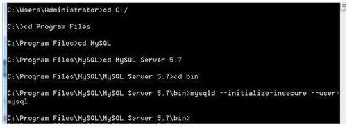 MySQL Server