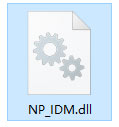 NP_IDM.dll