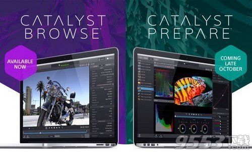 Sony Catalyst Browse Suite 2019中文版百度云