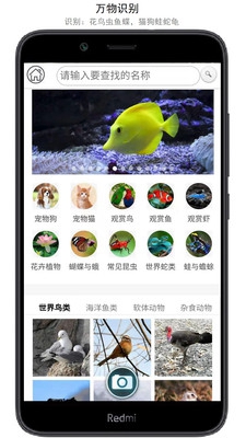 万物识别app下载-万物识别软件下载v1.0.5图4