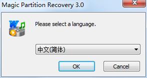 Magic Partition Recovery