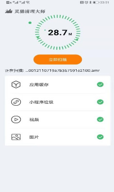 灵猫清理大师最新版截图4