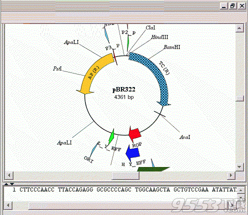 SimVector(质粒图绘制)