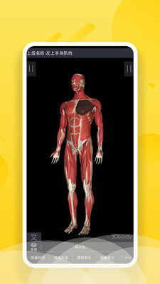 3Dbody艺用app下载-3Dbody艺用安卓版下载v1.0.0图3