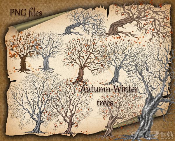 秋季树木枯树效果剪影图形PS笔刷
