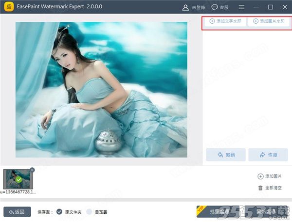 EasePaint Watermark Expert v2.0.0 绿色破解版