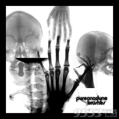人体X光片效果、骨骼透视PS笔刷
