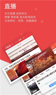 中国新闻网2020手机版截图4