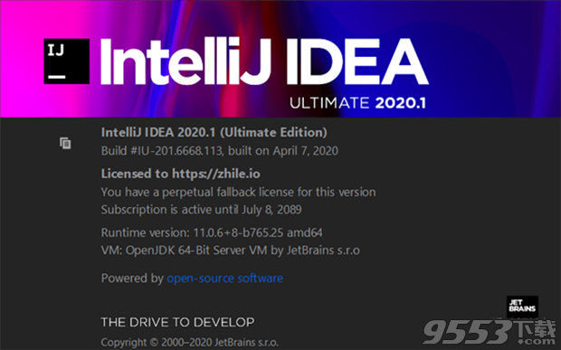 IntelliJ IDEA 2020.1激活包