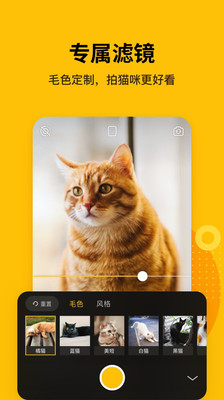 爪叽app下载-爪叽(宠物相机)安卓版下载v1.0.0图2