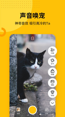 爪叽app下载-爪叽(宠物相机)安卓版下载v1.0.0图4