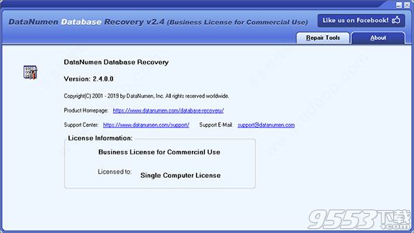 DataNumen Database Recovery