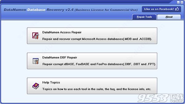 DataNumen Database Recovery