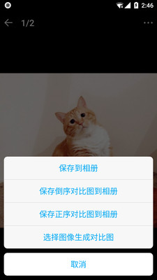 猫咪记账本安卓版截图3