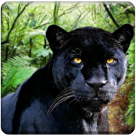 丛林黑豹模拟器手机版