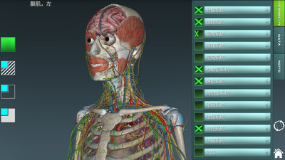人体解剖学图集最新版下载-人体解剖学图集安卓版下载v3.8.2图2